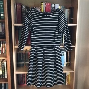 Banana Republic Black and White Striped Dress